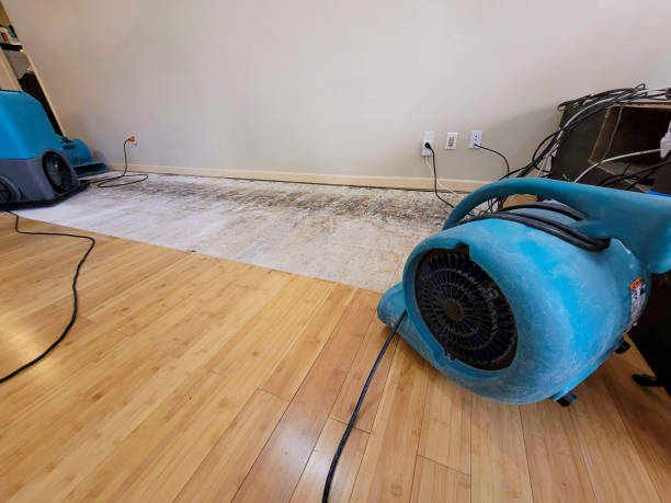 Professional Burst Pipe Water Damage technician working in Florence, AZ